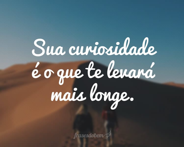 Sua curiosidade é o que te levará mais longe.