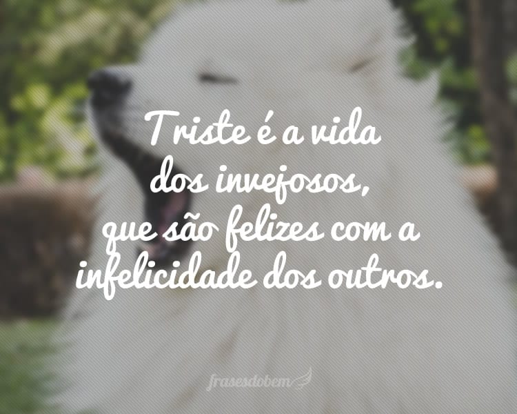 Triste é a vida dos invejosos, que são felizes com a infelicidade dos outros.