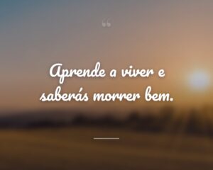 Aprende a viver e saberás morrer bem.