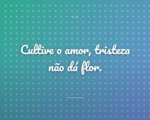 Cultive o amor, tristeza não dá flor.