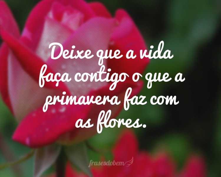 Deixe que a vida faça contigo o que a primavera faz com as flores.