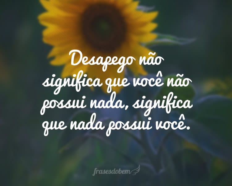 Desapego não significa que você não possui nada, significa que nada possui você.