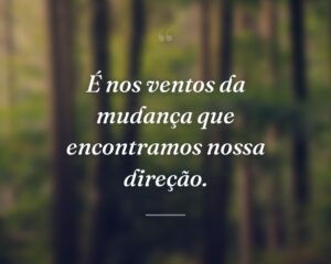 É nos ventos da mudança que encontramos nossa direção.