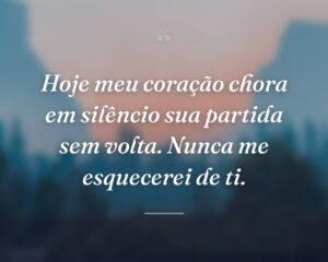 Hoje meu coração chora em silêncio sua partida sem volta. Nunca me esquecerei de ti.