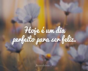 Hoje é um dia perfeito para ser feliz.