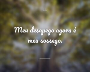 Meu desapego agora é meu sossego.
