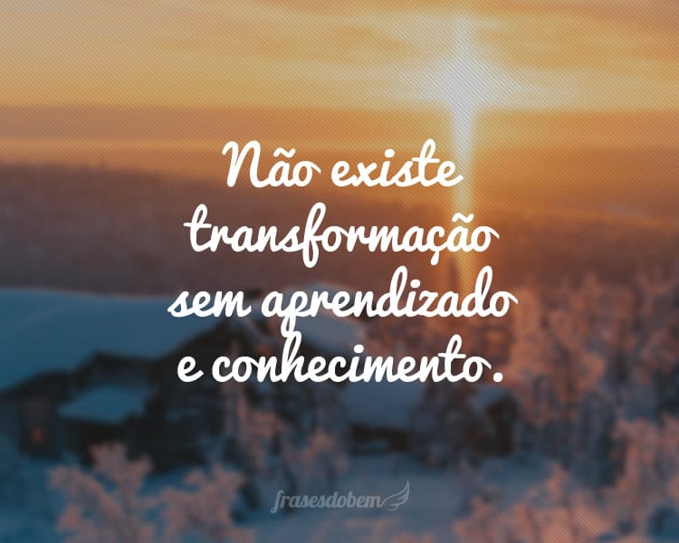 Não existe transformação sem aprendizado e conhecimento.