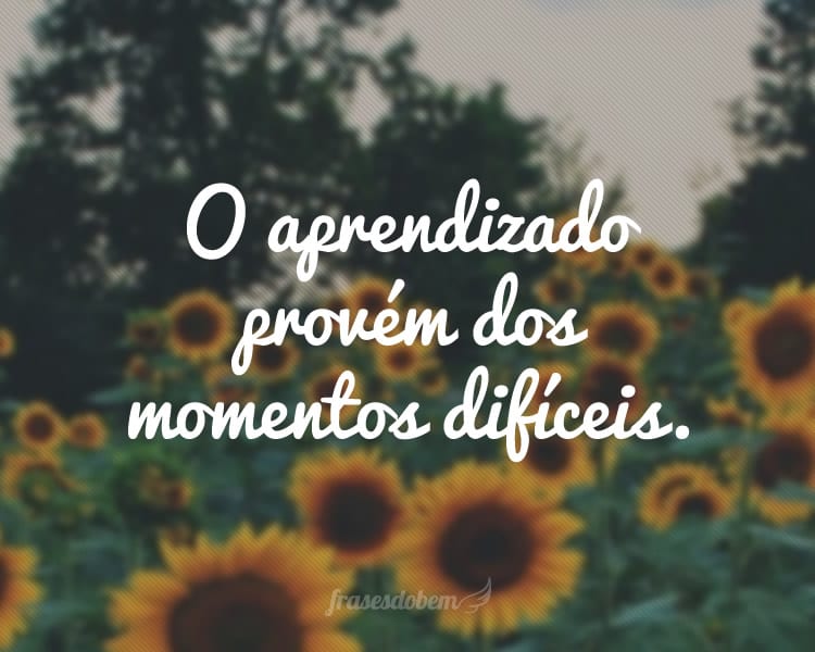 O aprendizado provém dos momentos difíceis.