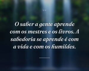 O saber a gente aprende com os mestres e os livros. A sabedoria se aprende é com a vida e com os humildes.