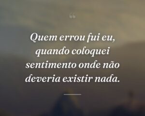 Quem errou fui eu, quando coloquei sentimento onde não deveria existir nada.