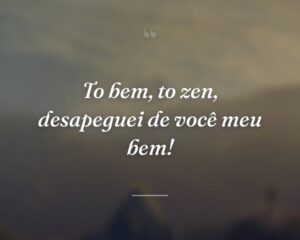 To bem, to zen, desapeguei de você meu bem!