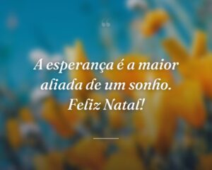 A esperança é a maior aliada de um sonho. Feliz Natal!