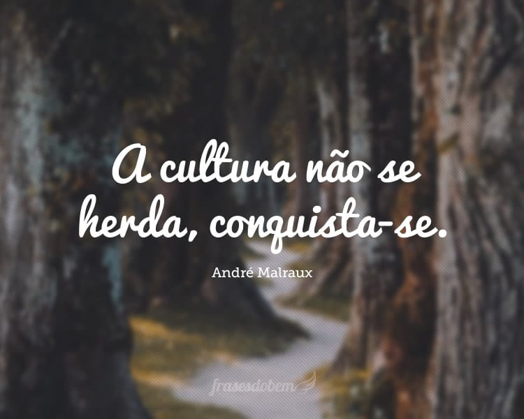 A cultura não se herda, conquista-se.