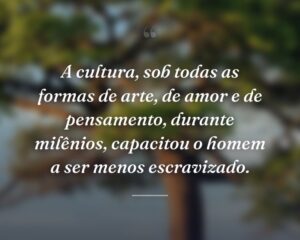 A cultura, sob todas as formas de arte, de amor e de pensamento, durante milênios, capacitou o homem a ser menos escravizado.