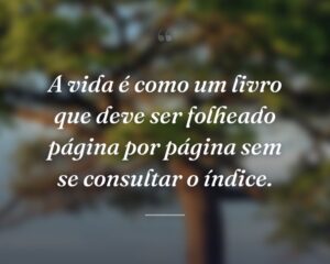 A vida é como um livro que deve ser folheado página por página sem se consultar o índice.