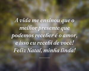 A vida me ensinou que o melhor presente que podemos receber é o amor, e isso eu recebi de você! Feliz Natal, minha linda!