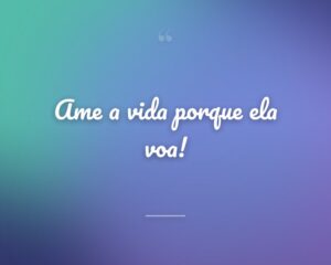 Ame a vida porque ela voa!