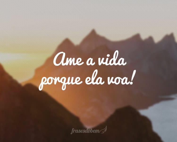 Ame a vida porque ela voa!