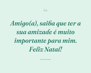 Amigo(a), saiba que ter a sua amizade é muito importante para mim. Feliz Natal!