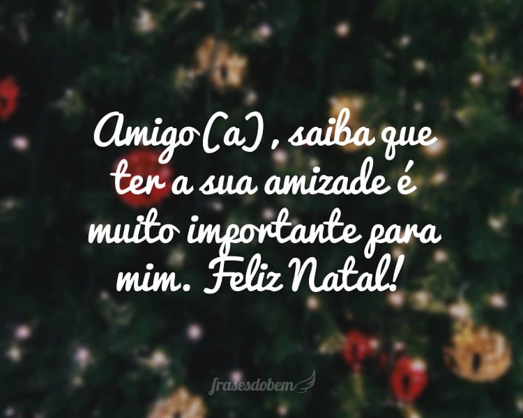 Amigo(a), saiba que ter a sua amizade é muito importante para mim. Feliz Natal!