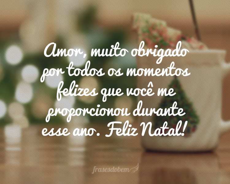 Amor, muito obrigado por todos os momentos felizes que você me proporcionou durante esse ano. Feliz Natal!