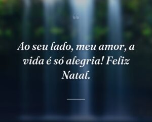 Ao seu lado, meu amor, a vida é só alegria! Feliz Natal.