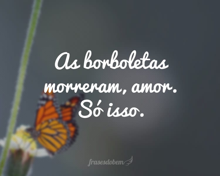 As borboletas morreram, amor. Só isso.