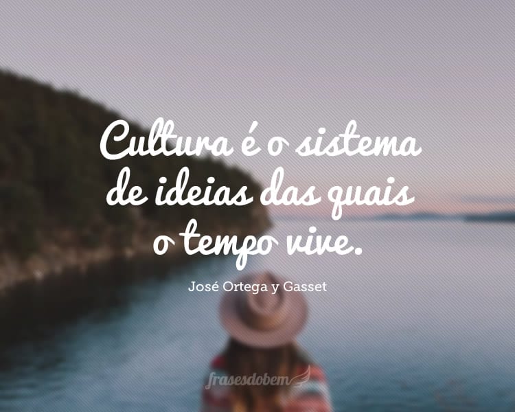 Cultura é o sistema de ideias das quais o tempo vive.