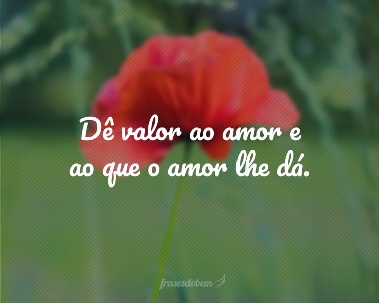 Dê valor ao amor e ao que o amor lhe dá.