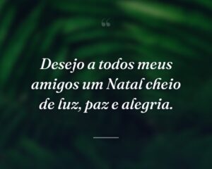 Desejo a todos meus amigos um Natal cheio de luz, paz e alegria.