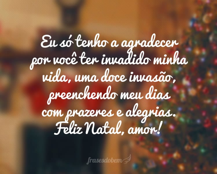 Eu só tenho a agradecer por você ter invadido minha vida, uma doce invasão, preenchendo meu dias com prazeres e alegrias. Feliz Natal, amor!