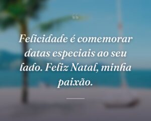 Felicidade é comemorar datas especiais ao seu lado. Feliz Natal, minha paixão.