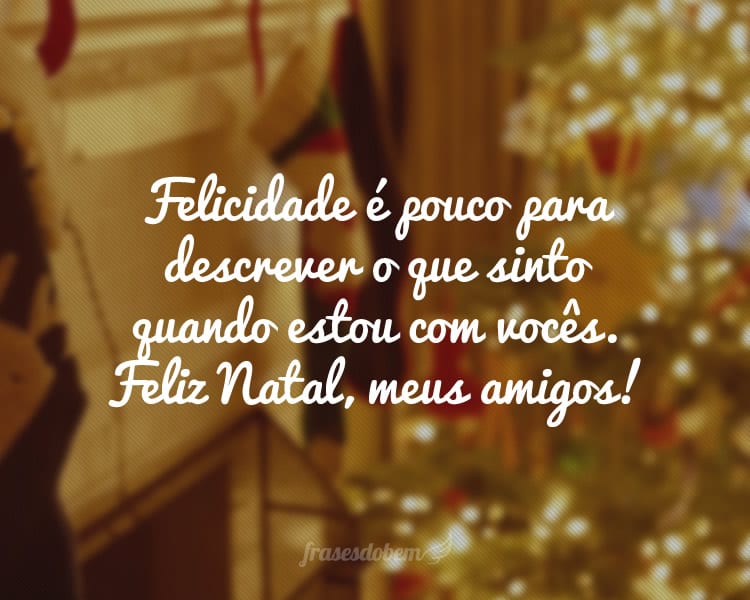 Felicidade é pouco para descrever o que sinto quando estou com vocês. Feliz Natal, meus amigos!