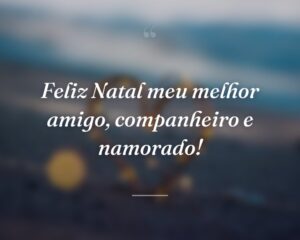 Feliz Natal meu melhor amigo, companheiro e namorado!