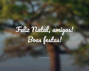 Feliz Natal, amigos! Boas festas!