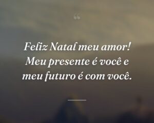 Feliz Natal meu amor! Meu presente é você e meu futuro é com você.