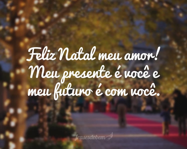 Feliz Natal meu amor! Meu presente é você e meu futuro é com você.