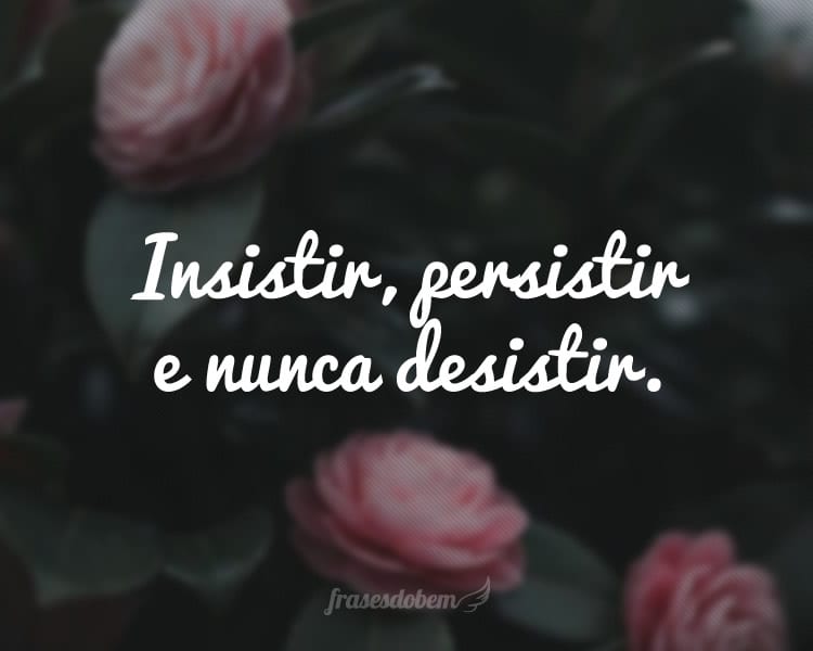 Insistir, persistir e nunca desistir.