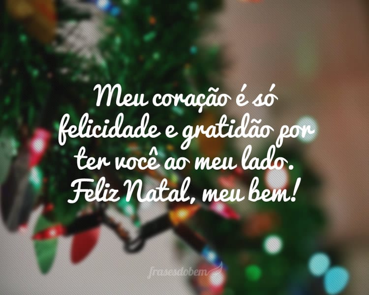 Meu coração é só felicidade e gratidão por ter você ao meu lado. Feliz Natal, meu bem!