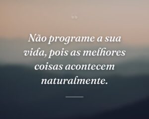 Não programe a sua vida, pois as melhores coisas acontecem naturalmente.