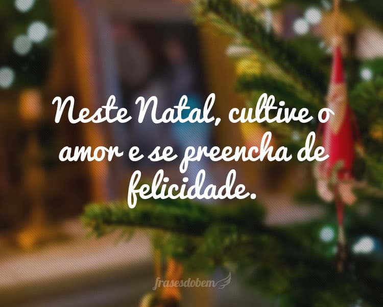 Neste Natal, cultive o amor e se preencha de felicidade.