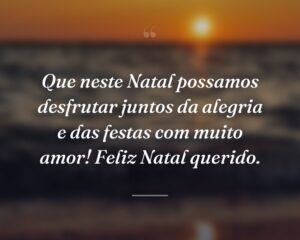 Que neste Natal possamos desfrutar juntos da alegria e das festas com muito amor! Feliz Natal querido.