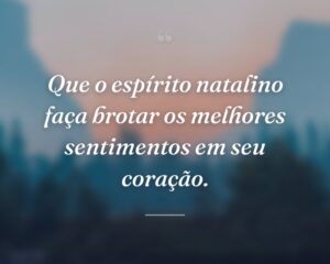 Que o espírito natalino faça brotar os melhores sentimentos em seu coração.