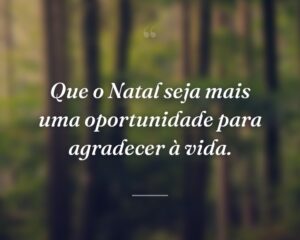 Que o Natal seja mais uma oportunidade para agradecer à vida.