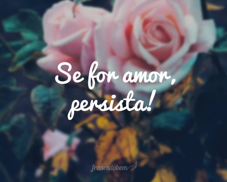 Se for amor, persista!