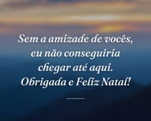 Sem a amizade de vocês, eu não conseguiria chegar até aqui. Obrigada e Feliz Natal!