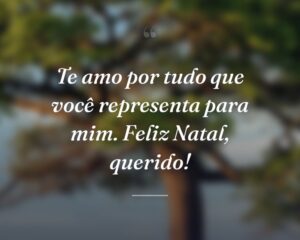 Te amo por tudo que você representa para mim. Feliz Natal, querido!