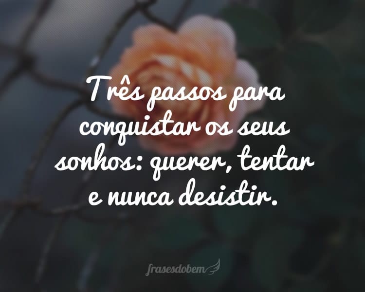 Três passos para conquistar os seus sonhos: querer, tentar e nunca desistir.