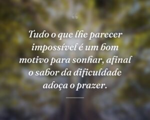 Tudo o que lhe parecer impossível é um bom motivo para sonhar, afinal o sabor da dificuldade adoça o prazer.