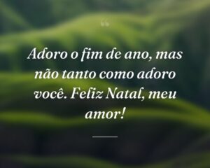 Adoro o fim de ano, mas não tanto como adoro você. Feliz Natal, meu amor!